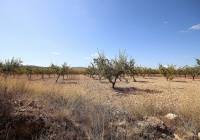Resale - Land - Pinoso