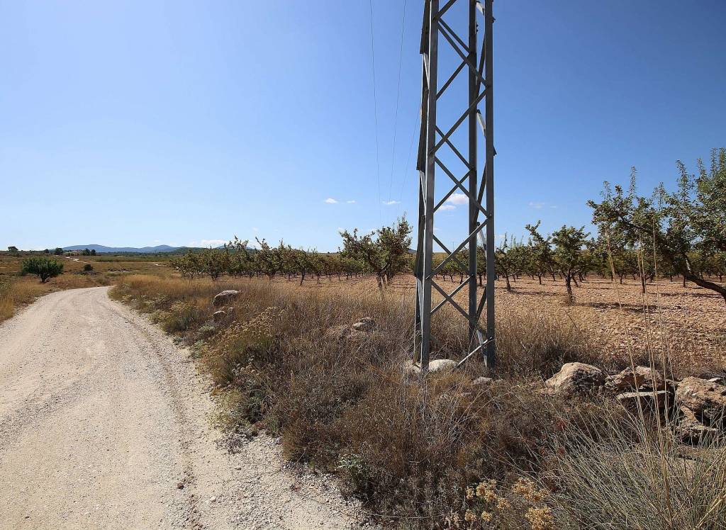 Resale - Land - Pinoso