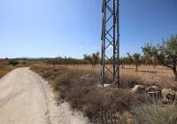 Resale - Land - Pinoso