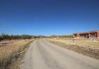 Resale - Land - Pinoso