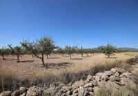 Resale - Land - Pinoso