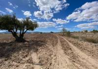 Resale - Land - Pinoso
