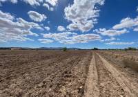 Resale - Land - Pinoso