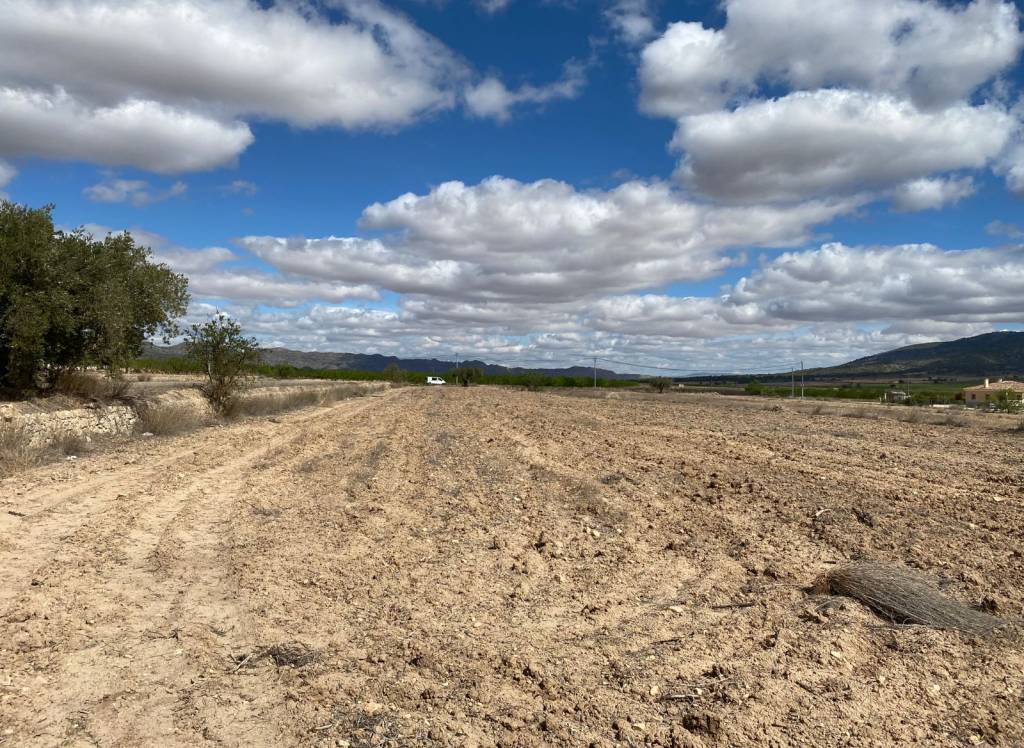 Resale - Land - Pinoso