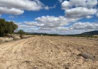 Resale - Land - Pinoso