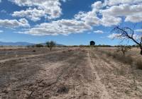 Resale - Land - Pinoso