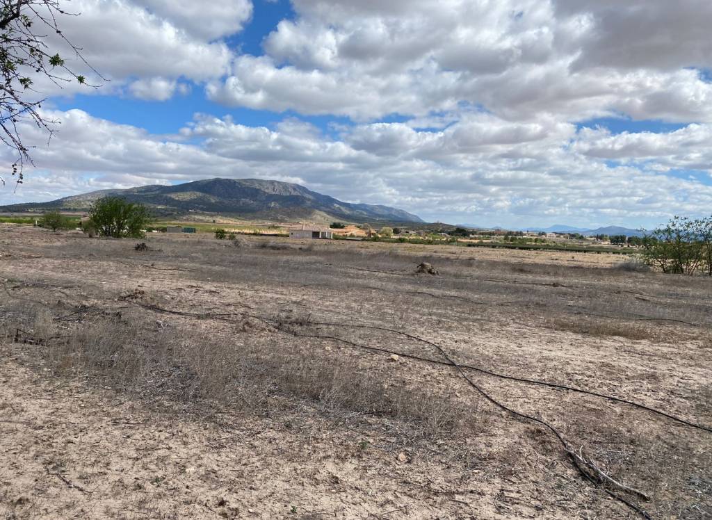 Resale - Land - Pinoso