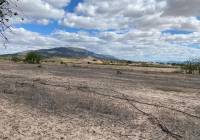 Resale - Land - Pinoso