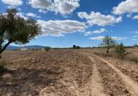 Resale - Land - Pinoso