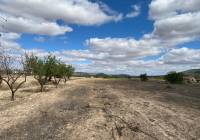 Resale - Land - Pinoso