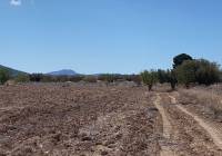 Resale - Land - Pinoso
