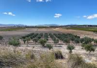 Resale - Land - Pinoso