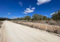 Resale - Land - Pinoso