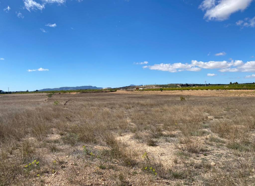 Resale - Land - Pinoso