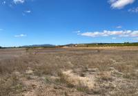 Resale - Land - Pinoso