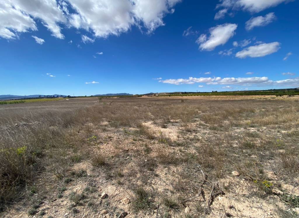 Resale - Land - Pinoso