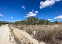 Resale - Land - Pinoso