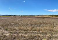 Resale - Land - Pinoso