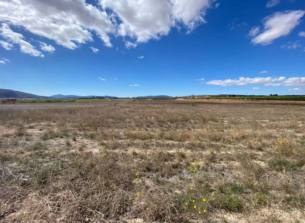 Resale - Land - Pinoso