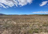 Resale - Land - Pinoso
