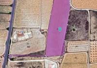 Resale - Land - Pinoso