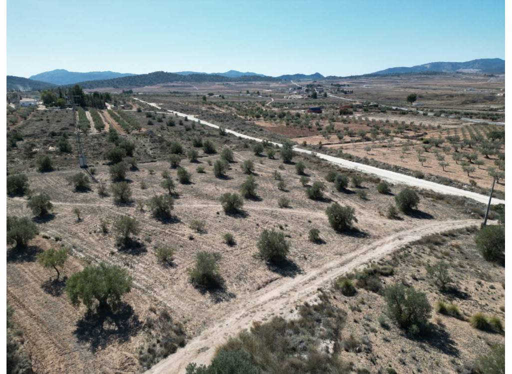 Resale - Land - Pinoso