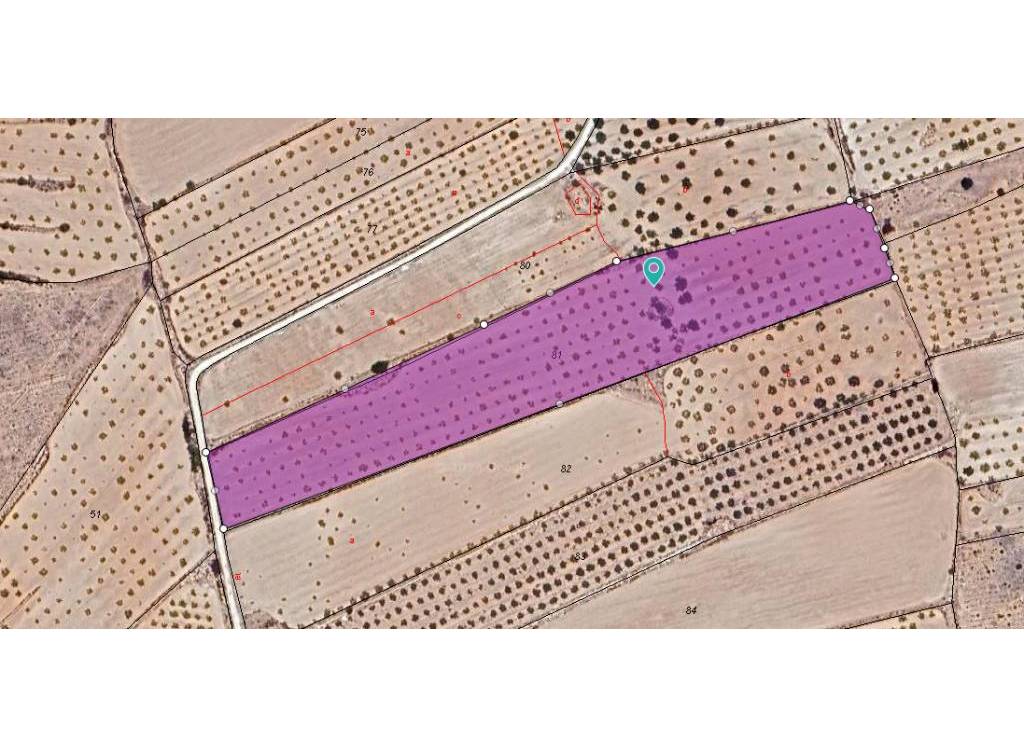 Resale - Land - Pinoso