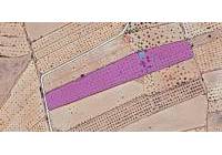 Resale - Land - Pinoso