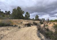 Resale - Land - Pinoso