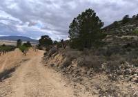 Resale - Land - Pinoso