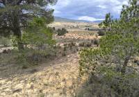 Resale - Land - Pinoso