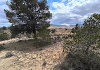 Resale - Land - Pinoso