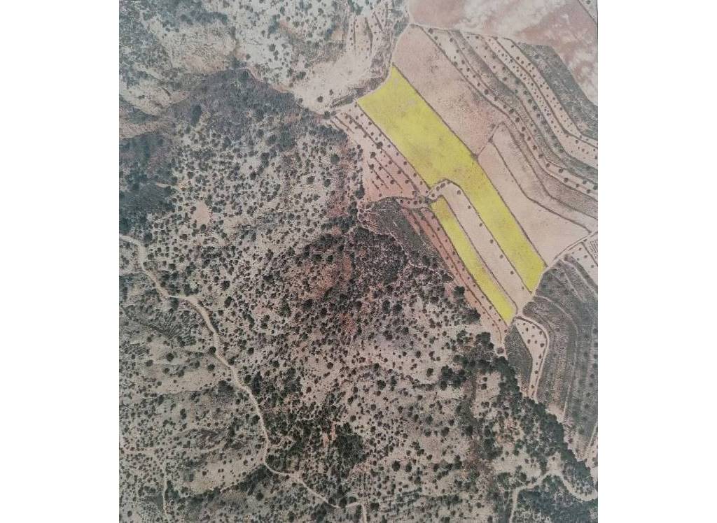 Resale - Land - Pinoso