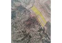 Resale - Land - Pinoso