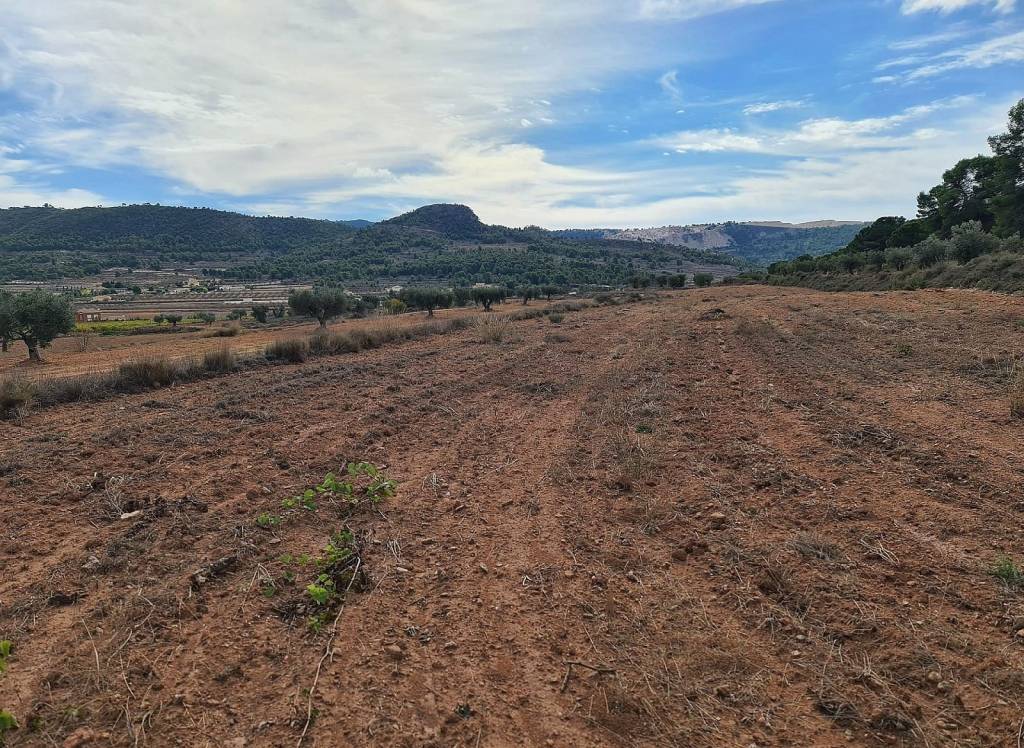 Resale - Land - Pinoso