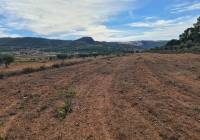 Resale - Land - Pinoso