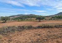 Resale - Land - Pinoso