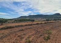 Resale - Land - Pinoso