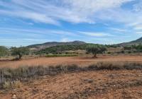 Resale - Land - Pinoso
