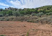 Resale - Land - Pinoso