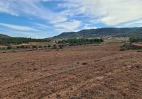 Resale - Land - Pinoso