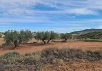 Resale - Land - Pinoso