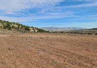 Resale - Land - Pinoso