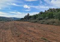 Resale - Land - Pinoso