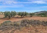 Resale - Land - Pinoso