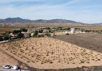 Resale - Land - Pinoso