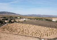 Resale - Land - Pinoso