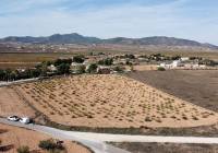 Resale - Land - Pinoso