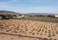 Resale - Land - Pinoso