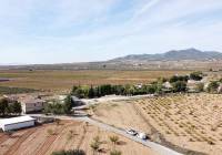 Resale - Land - Pinoso